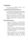 Nimetu #30