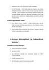 Nimetu #5