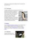 Pingviinid #6
