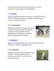 Pingviinid #7