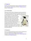 Pingviinid #8