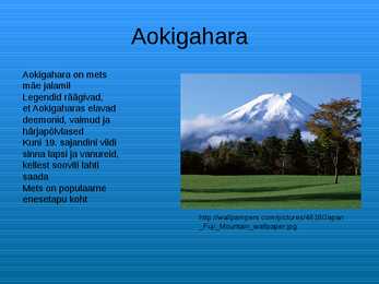 Fuji mägi #4