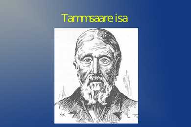 Anton Hansen Tamsaare #11