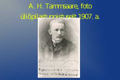 Anton Hansen Tamsaare #3