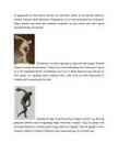Kettaheitja Discobolus #2