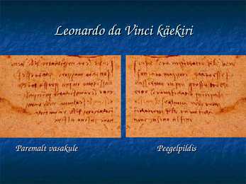 Leonardo Da Vinci #28