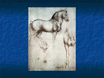 Leonardo Da Vinci #50