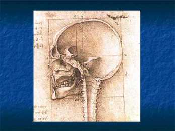 Leonardo Da Vinci #56