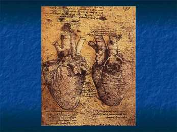 Leonardo Da Vinci #60