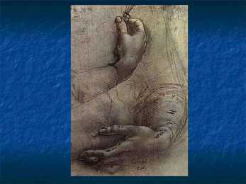 Leonardo Da Vinci #61