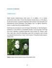 Puittaimede hooldusjuhend #15