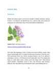 Puittaimede hooldusjuhend #26
