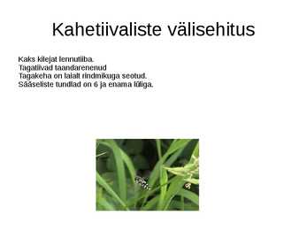Kahetiivalised #3