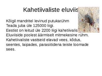 Kahetiivalised #4