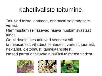 Kahetiivalised #5