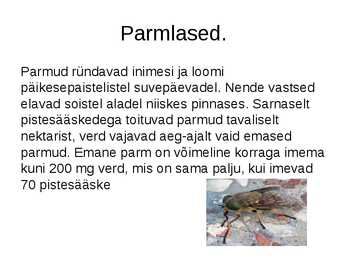 Kahetiivalised #9