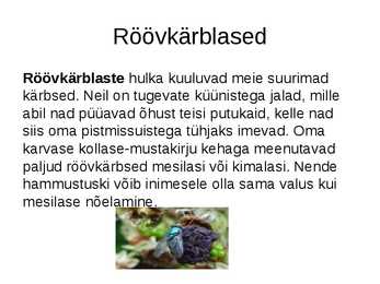 Kahetiivalised #10