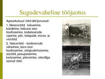 Perekonna õpetuse kursus-slaidiesitlus #85