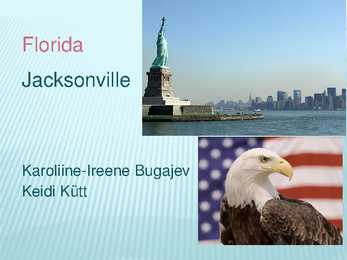 Vereinigte staaten von amerika