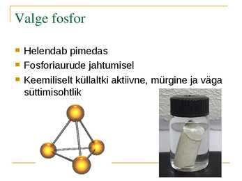 Lämmastik ja fosfor #13