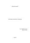 The Relations Between The USA and Iraq