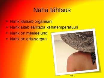 Päikesekaitse esitlus #2