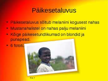 Päikesekaitse esitlus #8