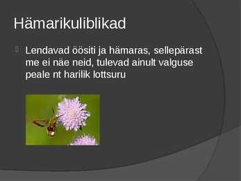 Liblikad #4