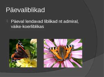 Liblikad #5