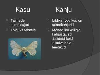 Liblikad #8