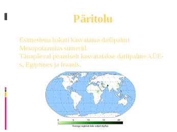 Daltipalm #2