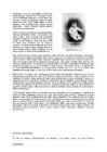 Adolf Hitler esimeses maailmasõjas #2