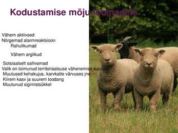 Loomade taltsutamise ja kodustamise põhimõtted #6