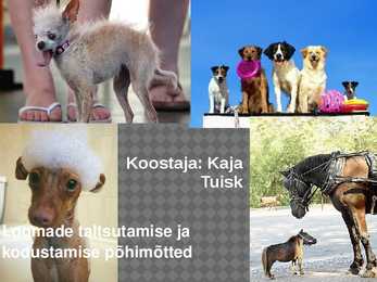 Loomade taltsutamise ja kodustamise põhimõtted