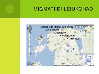 Eesti kivimite koostis-tekkimisviis-kasutusalad #16
