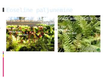Eoseline paljunemine #6