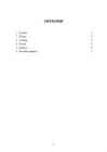 Hando Runnel #2