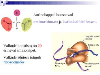 Organismide keemiline koostis #18