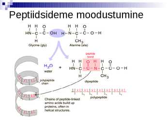Organismide keemiline koostis #21
