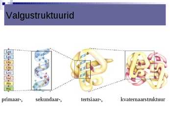 Organismide keemiline koostis #22