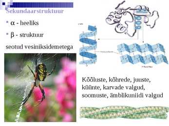 Organismide keemiline koostis #24