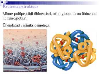 Organismide keemiline koostis #26