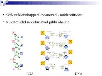Organismide keemiline koostis #32