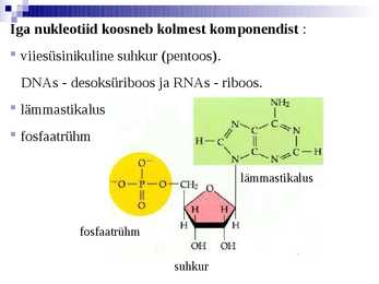 Organismide keemiline koostis #33