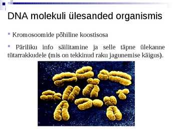 Organismide keemiline koostis #36