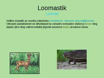 Otepää looduspark #11