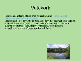 Otepää looduspark #12