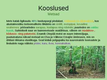 Otepää looduspark #13