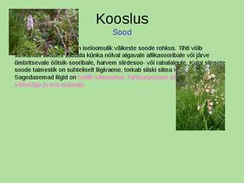 Otepää looduspark #14