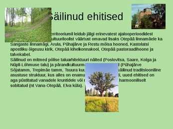 Otepää looduspark #15